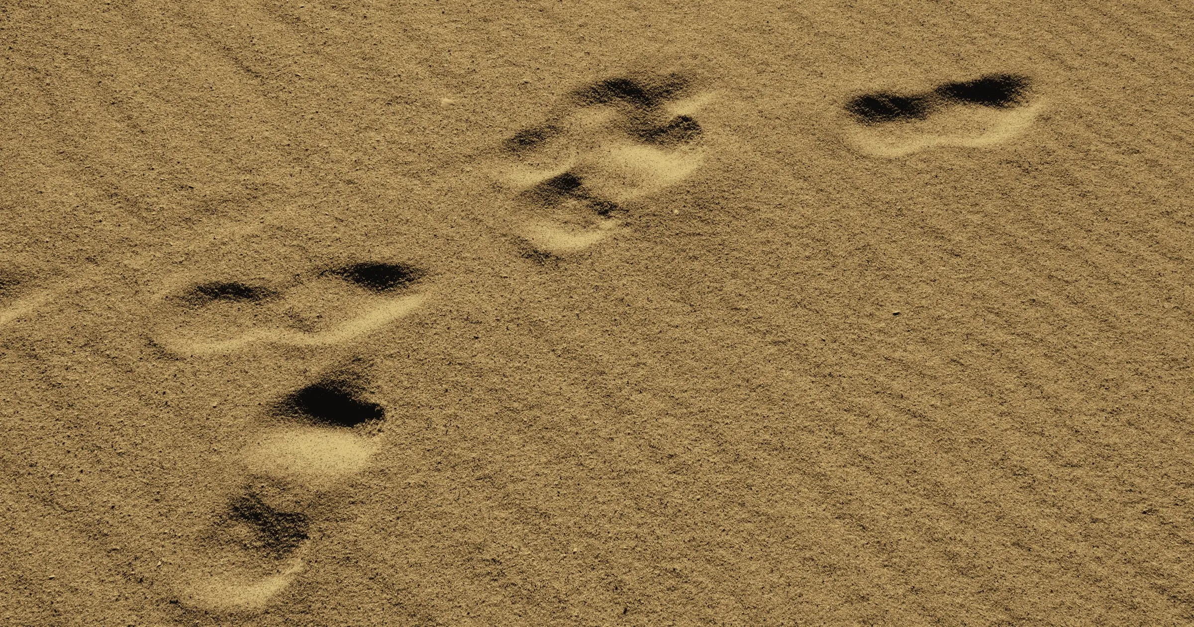 Small footprints crossing a stretch of sand