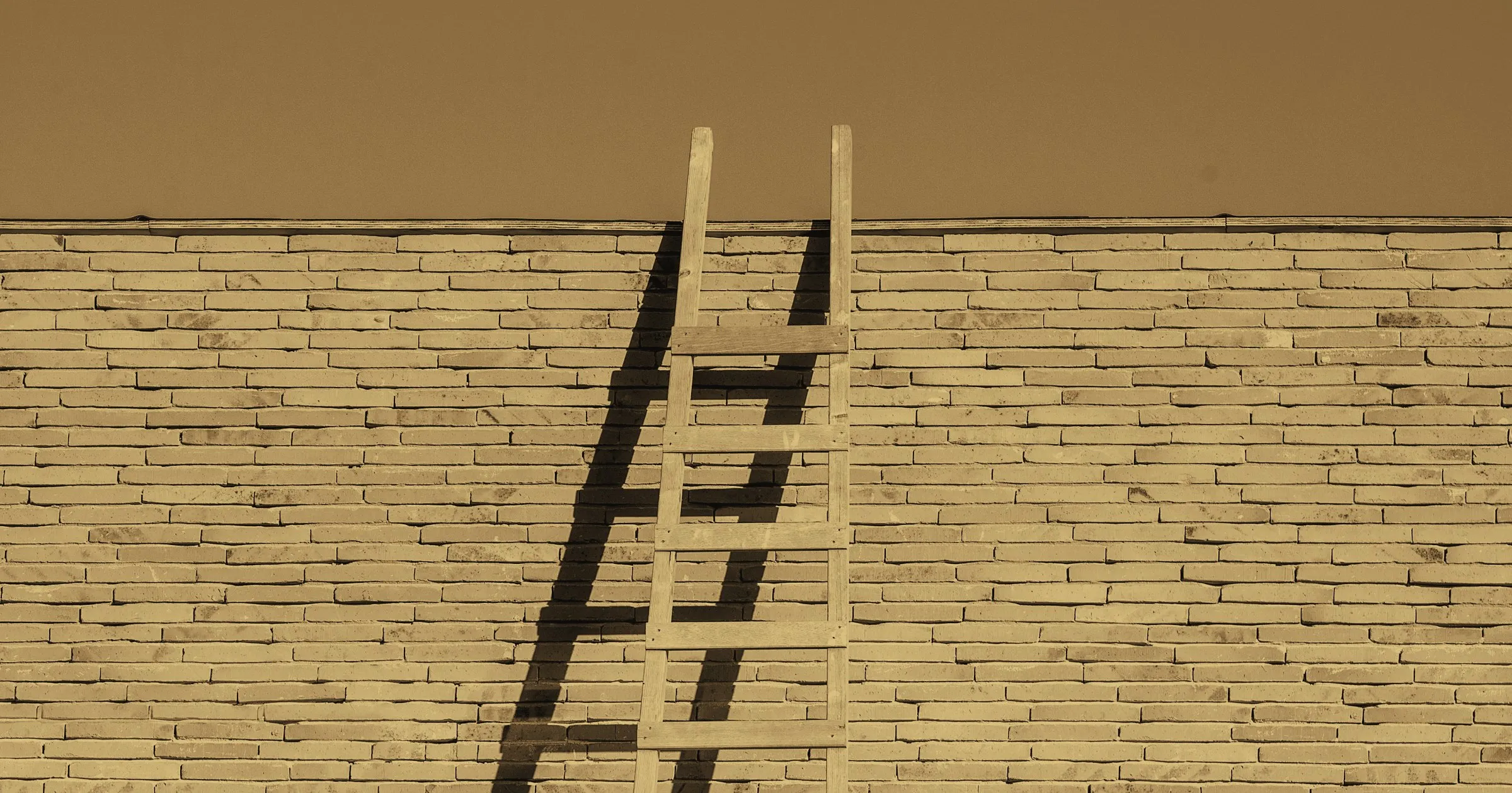 A wooden ladder leaning against a brick wall, casting a long shadow