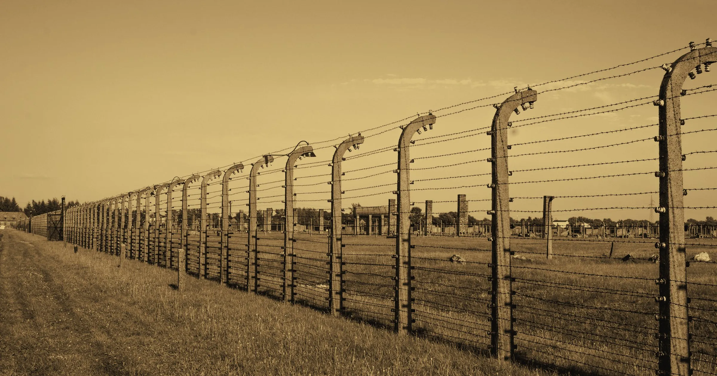 A barbed-wire fence on concrete posts running along the edge of a former camp
