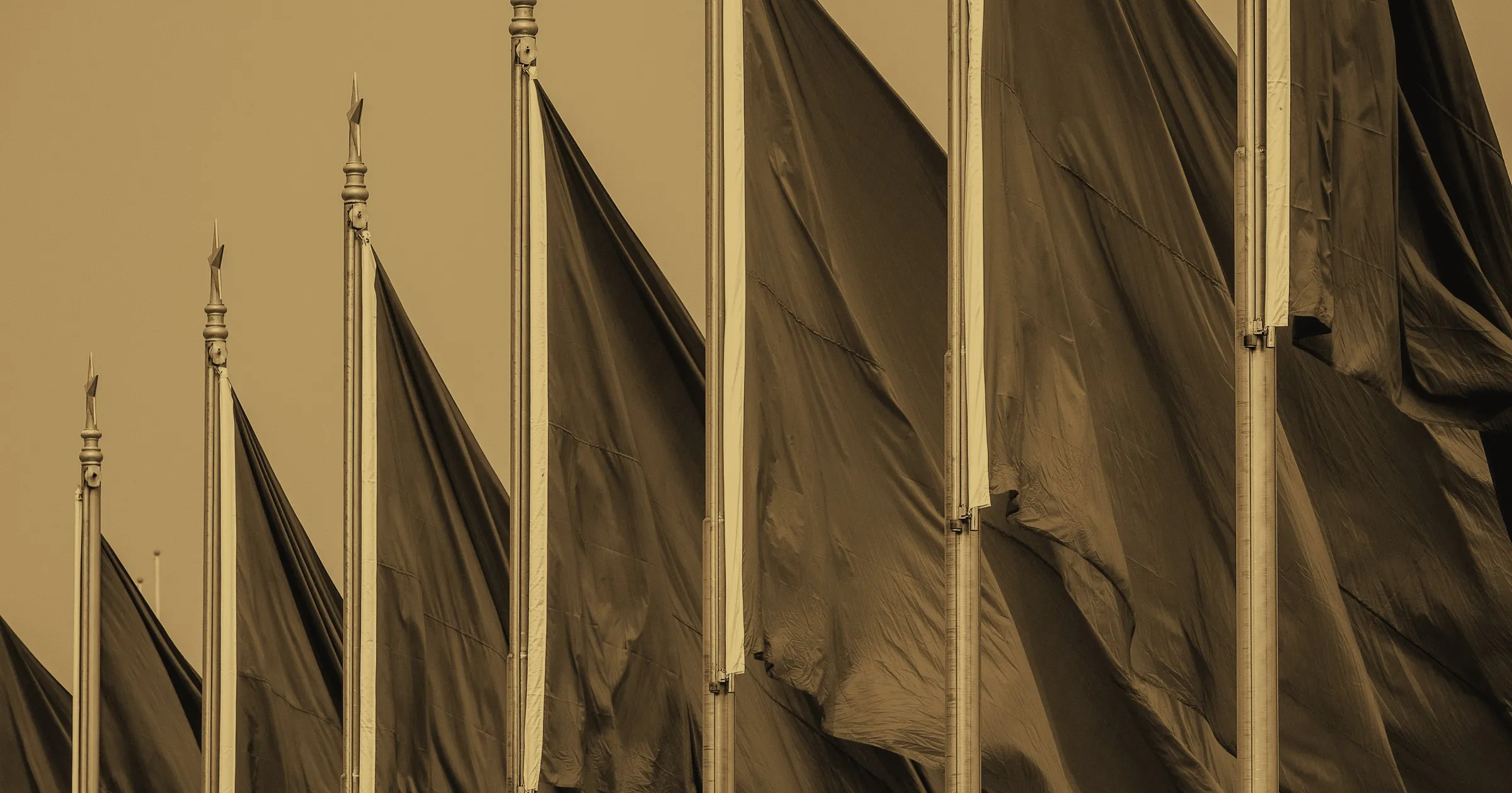 A row of flags on tall poles, in silhouette