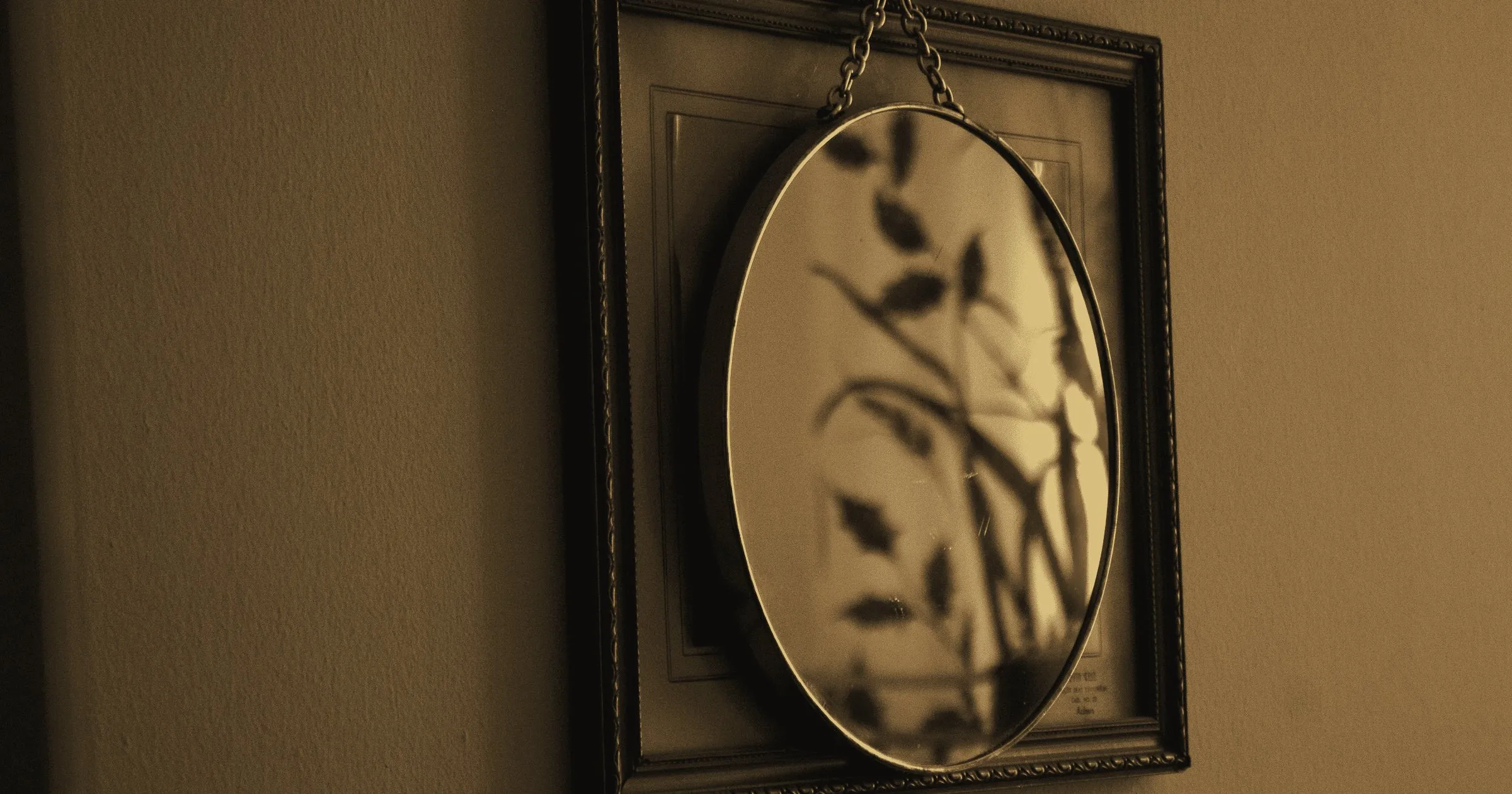 An oval mirror hanging on a plain wall, reflecting a window's leaves