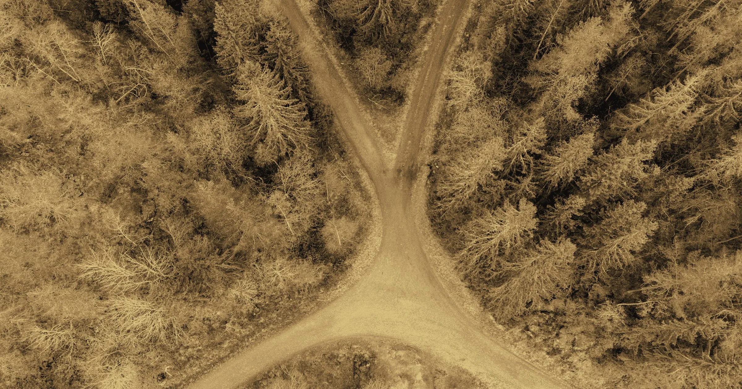 Three roads meeting in a forest, seen from above