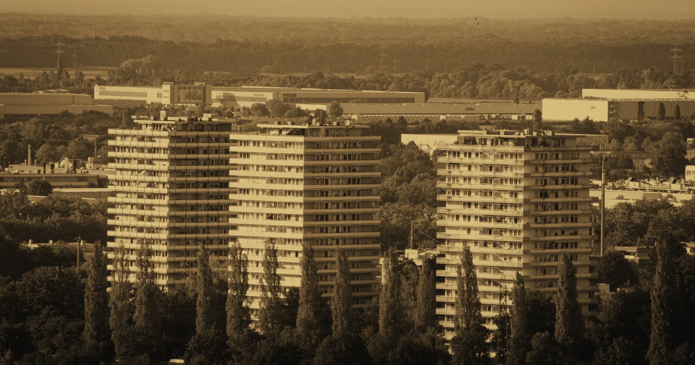 Tall concrete tower blocks on the edge of a city