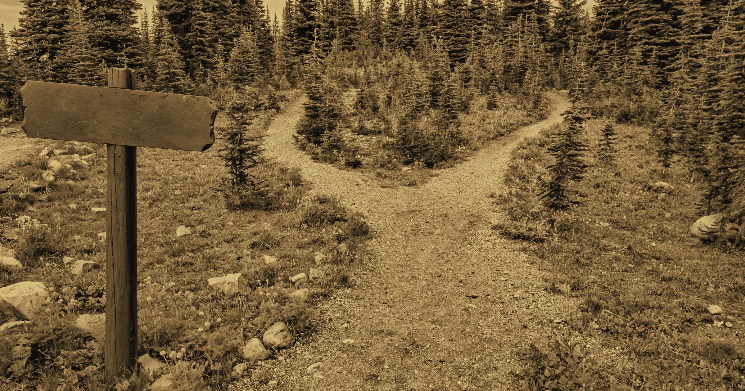 A path dividing in two beside a wooden signpost
