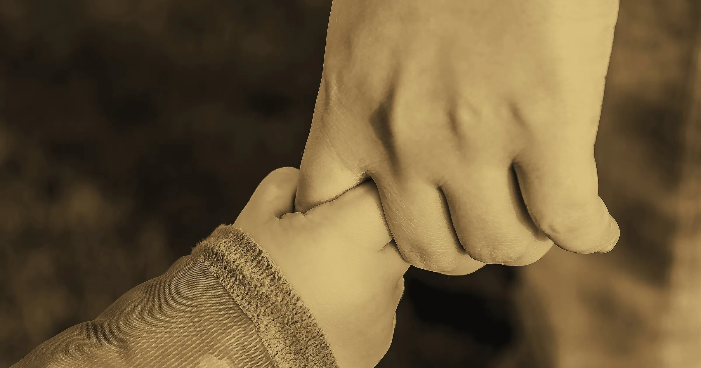A small child's hand holding an adult's finger